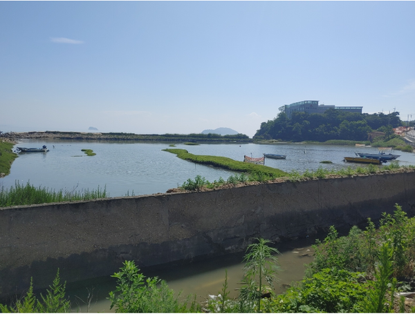 ▲ 사진= 대무의로 유수지