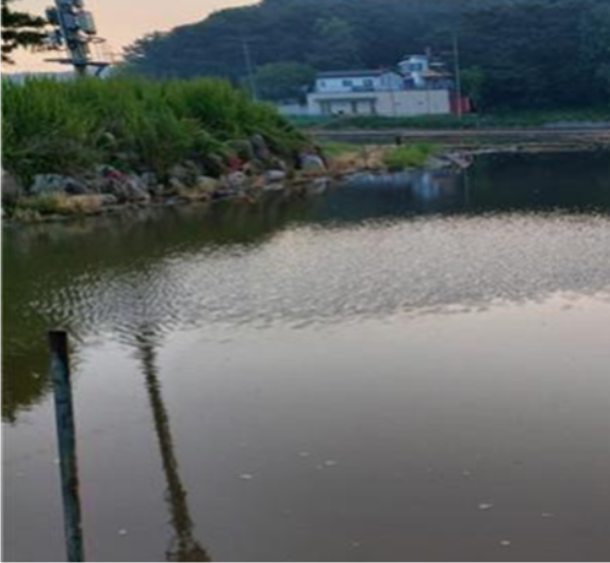 ▲사진= 마시안 용마교 수문변경 후 8월 20일 100mm 폭우에 침수된 농경지 