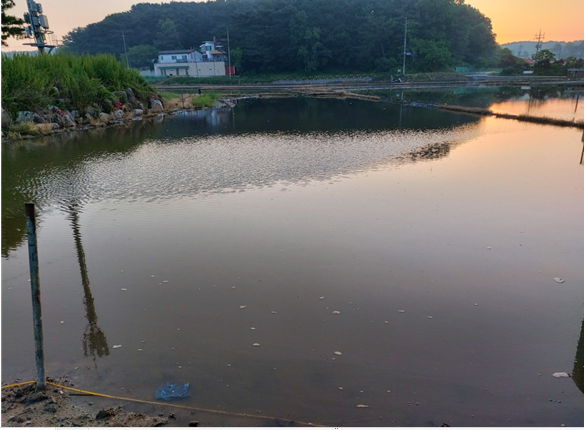 ▲ 사진 설명 =  중구 덕교동 주민들은“올 봄 집중호우 때 경작하는 농경지 일부가 침수됐다”며“살고 있는 집들이 저지대로 주택침수가 우려돼 관계기관의 대책마련이 시급하다”고 건의했다.