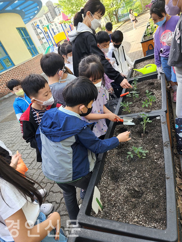 대청초학생들의 꿈이 영그는 행복 텃밭 가꾸기 모습