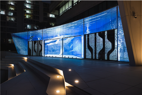 ▲사진 = 미디어 파사드 영상 컨테츠 바다 속의 거대한 흑등고래가 유영하는 모습 고화질