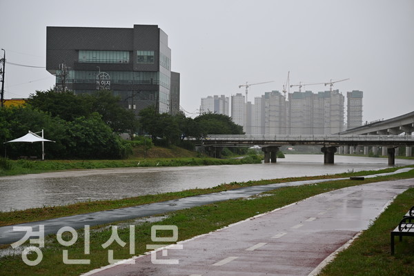 오늘 오전 11시 50분경 폭우로 인해 물이 불어난 용인에버라인 고진역 근처 경안천 일대. 범람의 위험성이 있어 하천 출입은 매우 위험하다.