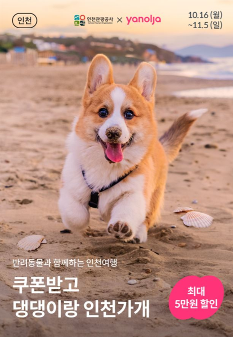                                                  ▲기획전 프로모션 포스터