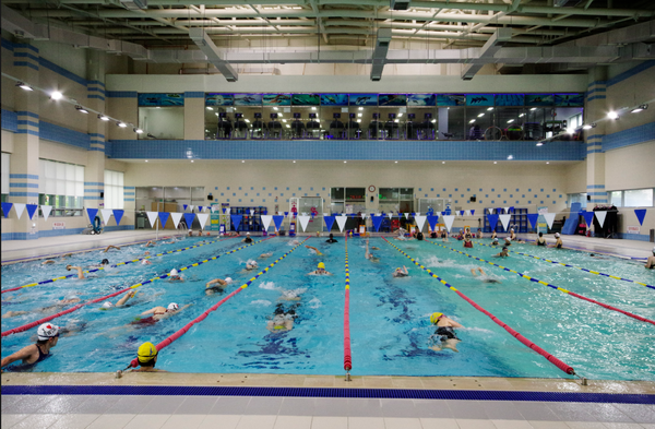                                                                               ▲수영장 전경,