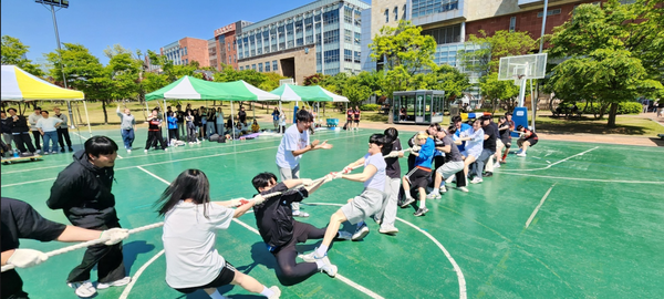                                             ▲줄다리기 결승 중인 법학부 학생들,