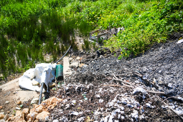 ▲서운면 하천주변 불법소각현장
