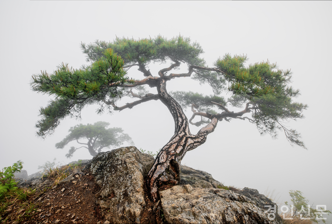                                  ▲김유종 작가의 작품 중