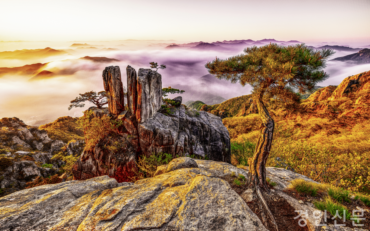                                                   ▲김유종 작가의 작품 중