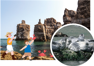 ▲ 우리나라 최북단 백령도에서 천연기념물 물범 만나기