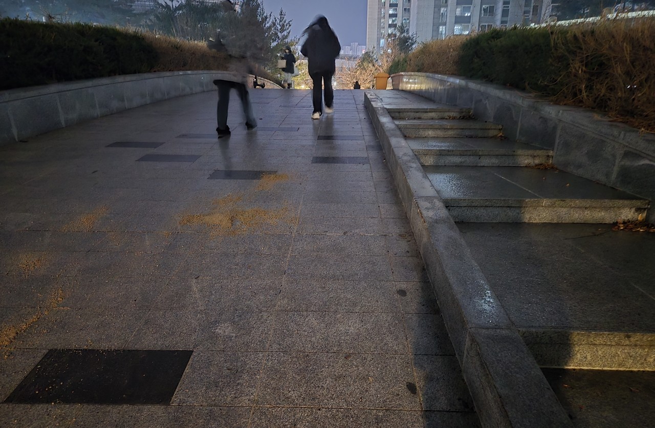                                                    ▲야자매트를 깔기전 모습(송원보도육교)