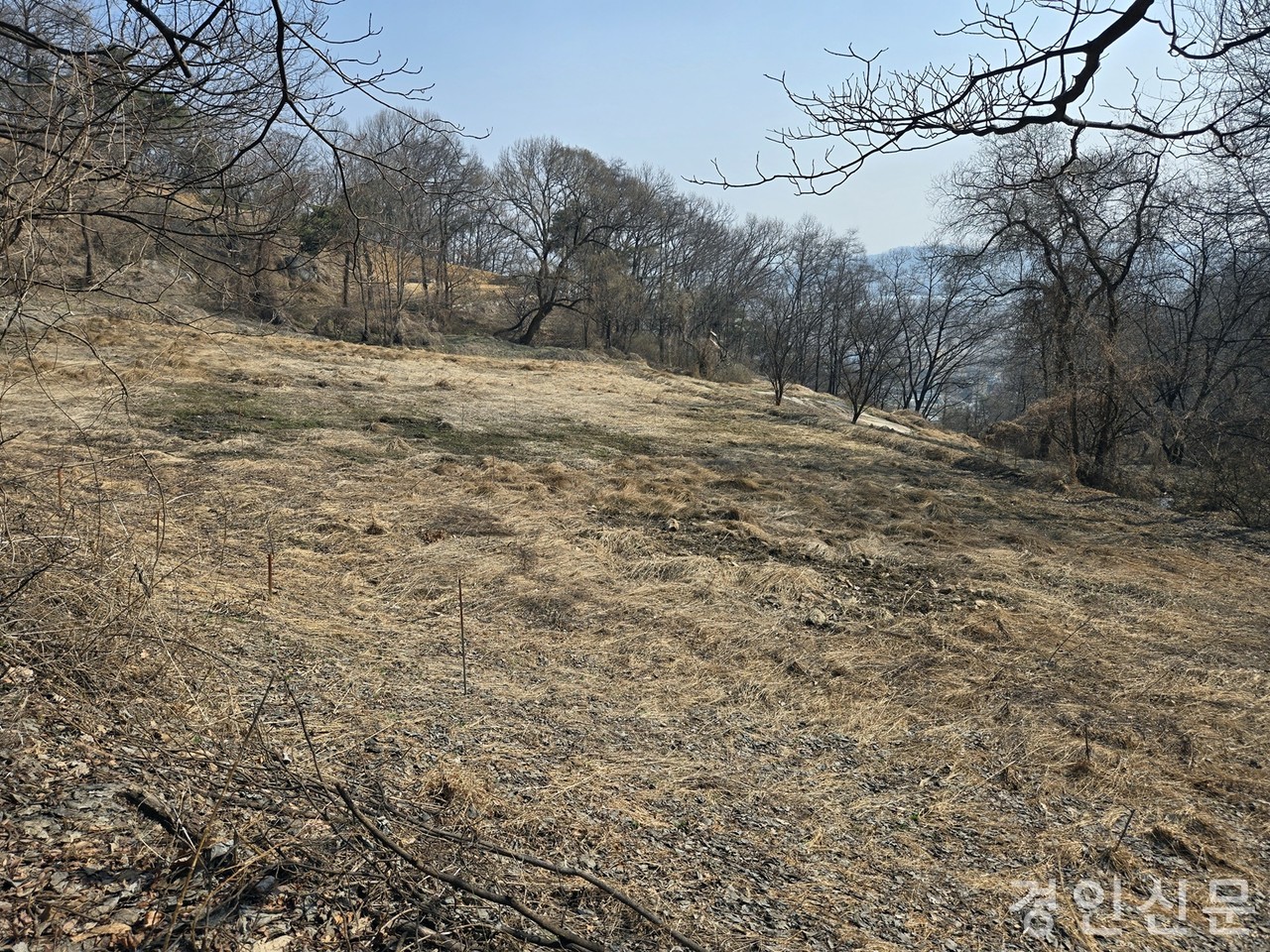                                                            ▲위쪽 화장실 인근 주차장 옆  넓은 부지