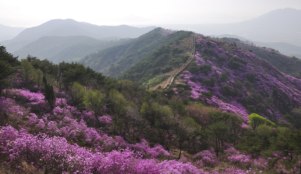    ▲ 강화산성 북문길