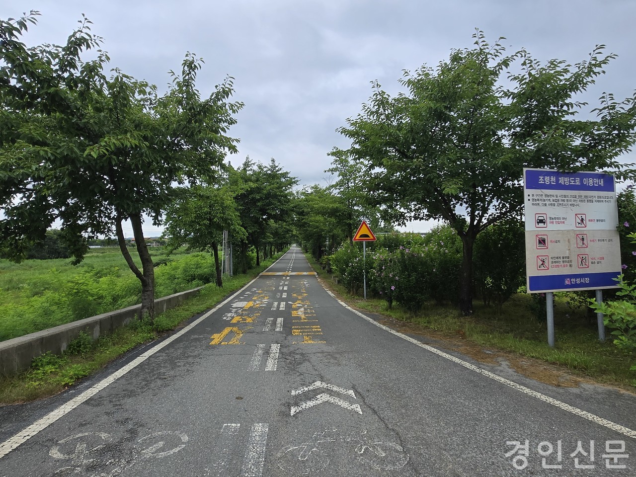                                                      ▲조령천 뚝방을 이용한 자전거 도로