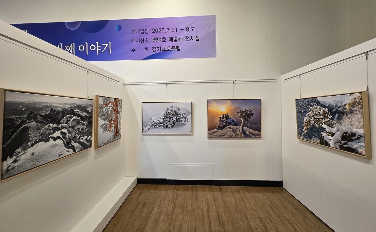                                       ▲김유종 작가의 설송