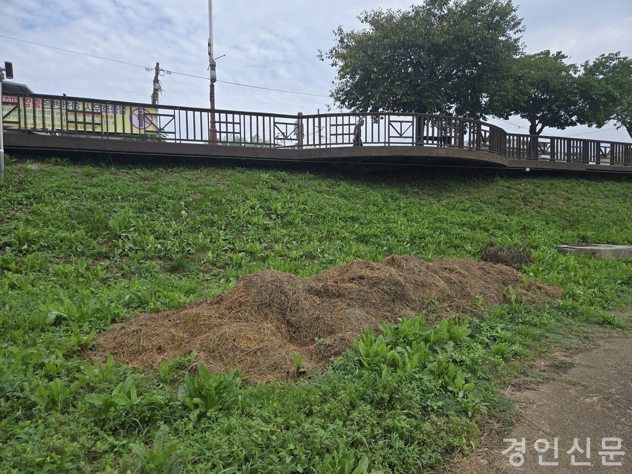               ▲산책로 구석구석에 쌓여있는 잔재물