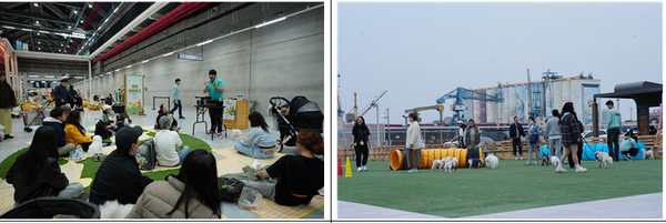 ▲전문가와 함께하는 행동 클래스,                                                  ▲댕댕 놀이터