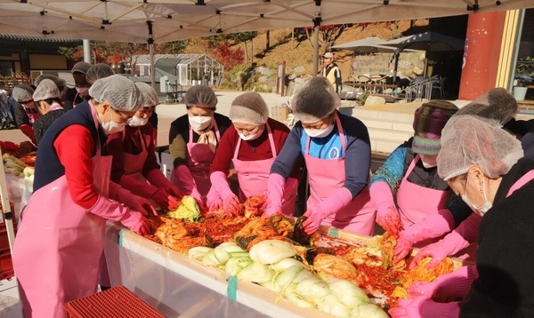 봉사자들이 열심히 김장을 담그고있다